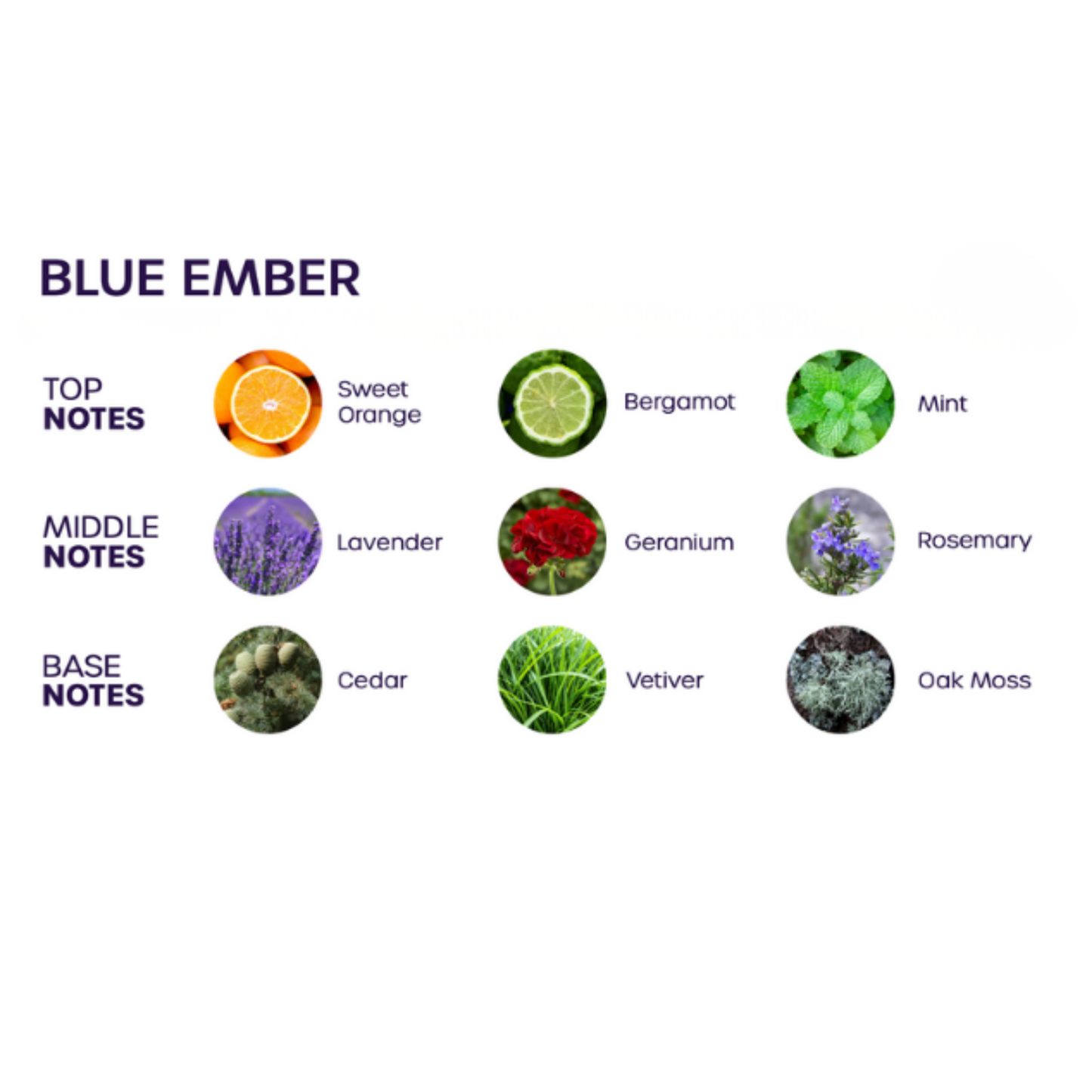 (Sample) Bloom Blue Ember Cologne