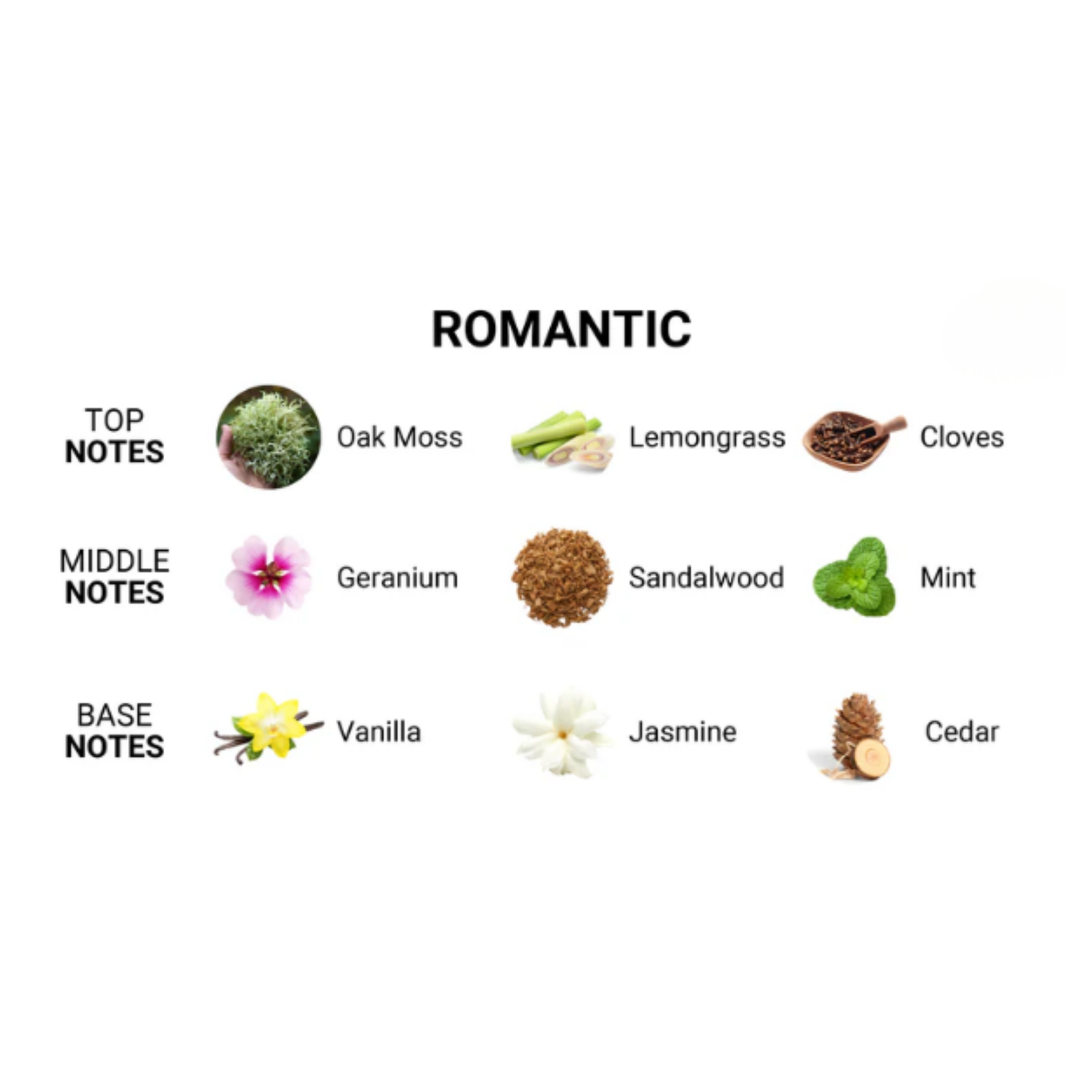 (Sample) Classic Romantic Cologne